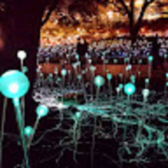 Meet your Posher, Stacy - Picture 1 of 1